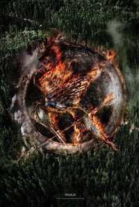 Постер фильма «Голодные игры: И вспыхнет пламя (2013)» — (6 из 99)