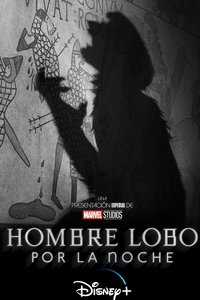 Poster de Hombre Lobo por la noche