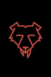Reel Bear Media