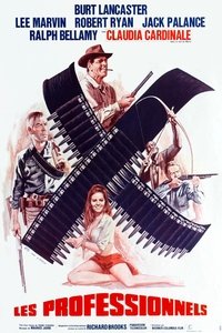 Poster de Les Professionnels