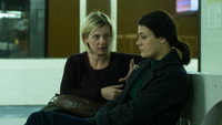 «Ночная жизнь (2016)» — обои к фильму #1