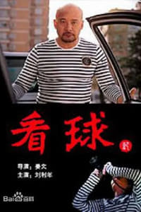 看球记 (2011)