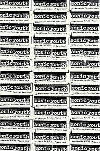 Poster de Sonic Youth: Screaming Fields of Sonic Love