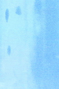 summer afternoon (hypnagogic decay)
