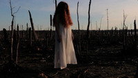 «The Girl in the Cornfield (2016)» — обои к фильму #1