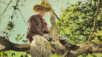 «The Gentle Cyclone (1926)» — обои к фильму #1