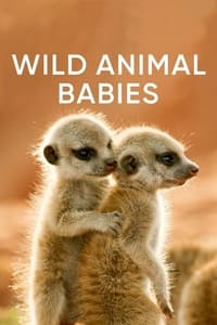 copertina serie tv Wild+Animals+Babies 2020