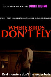 Постер фильма «Where Birds Don't Fly (2017)» — (3 из 4)