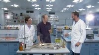 Das Geheimnis der Alchemisten