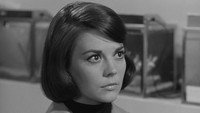 «Любовь с подходящим незнакомцем (1963)» — обои к фильму #4