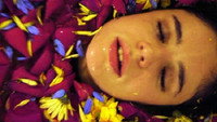 «Violeta de mil colores (2005)» — обои к фильму #1