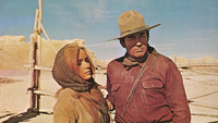 «Восходящая Луна (1968)» — обои к фильму #9