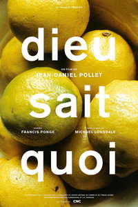 Постер фильма «Dieu sait quoi (1994)» — (1 из 1)