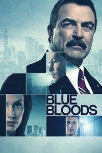 Постер сериала «Голубая кровь (2010 - 2024)» — (13 из 149)