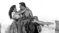 «Горячая кровь (1956)» — обои к фильму #3