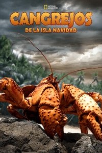 Poster de The Giant Robber Crab