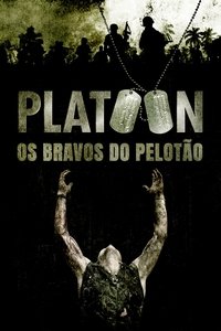 Poster do Filme Platoon