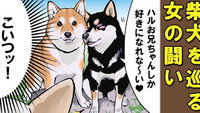 The Difference Between Men and Women / The Difference Between Men and Women and Dogs Part 1 / The Difference Between Men and Women and Dogs Part 2