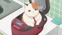 MuMu and the Rice Cooker