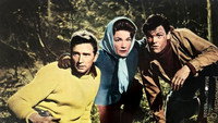 «Mix Me a Person (1962)» — обои к фильму #1