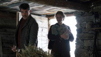 «Белль и Себастьян: Друзья навек (2017)» — обои к фильму #3