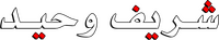شريف وحيد