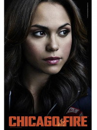 Постер сериала «Чикаго в огне (2012)» — (52 из 170)