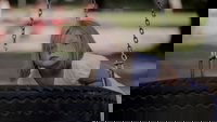 Kardo