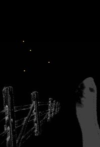Fireflies Along the Fence
