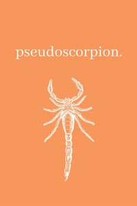 Pseudoscorpion