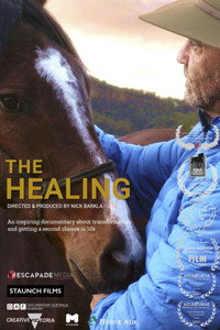 Постер фильма «The Healing (2022)» — (2 из 6)