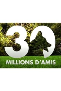 Poster de 30 millions d'amis