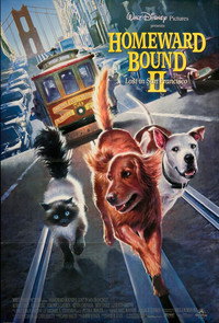 Постер фильма «Дорога домой 2: Затерянные в Сан-Франциско (1996)» — (7 из 19)