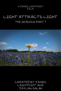 Light Attracts Light