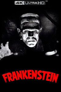 Постер фильма «Франкенштейн (1931)» — (53 из 129)