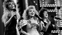 «Barbara Mandrell and the Mandrell Sisters (1980-1982)» — обои к сериалу #1