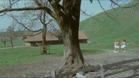 «Шесть шведок в Альпах (1983)» — обои к фильму #4