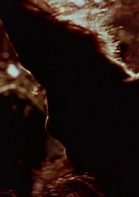 Duplicity III