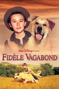 Fidèle vagabond (1957)