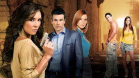 «Лицо Аналии (2008-2009)» — обои к сериалу #1