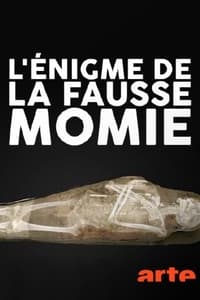 L'énigme de la fausse momie (2014)