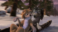 «Альфа и Омега: Клыкастая братва (2010)» — обои к мультфильму #6