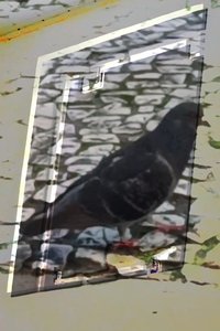 Poster de não tenho dormido muito mas continuo sonhando a cada piscada