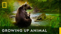«Growing Up Animal (2021)» — обои к сериалу #6