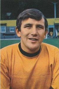 Imagem de Les Wilson