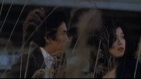 Обои к фильму «Связанная домохозяйка (1980)» — (12 из 13)