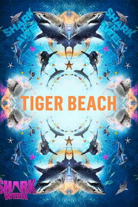 Tiger Shark Beach subtitle poster