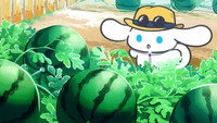 Watermelon