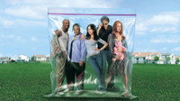 «Дурман (2005 - 2012)» — обои к сериалу #3