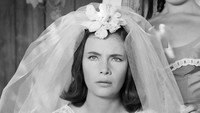 Обои к фильму «Сбежавшая невеста (1962)» — (13 из 40)